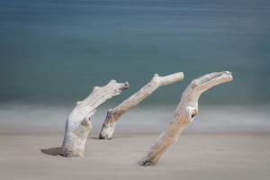 Three sticks, Chappy